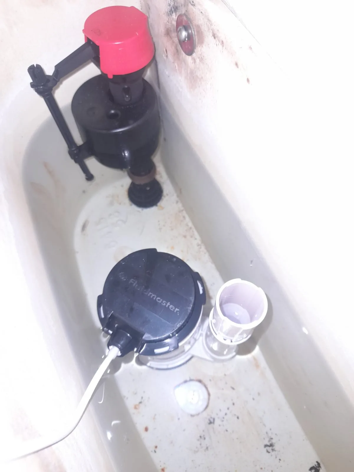 Fluidmaster fill valve and syphon serviced inside a toilet cistern